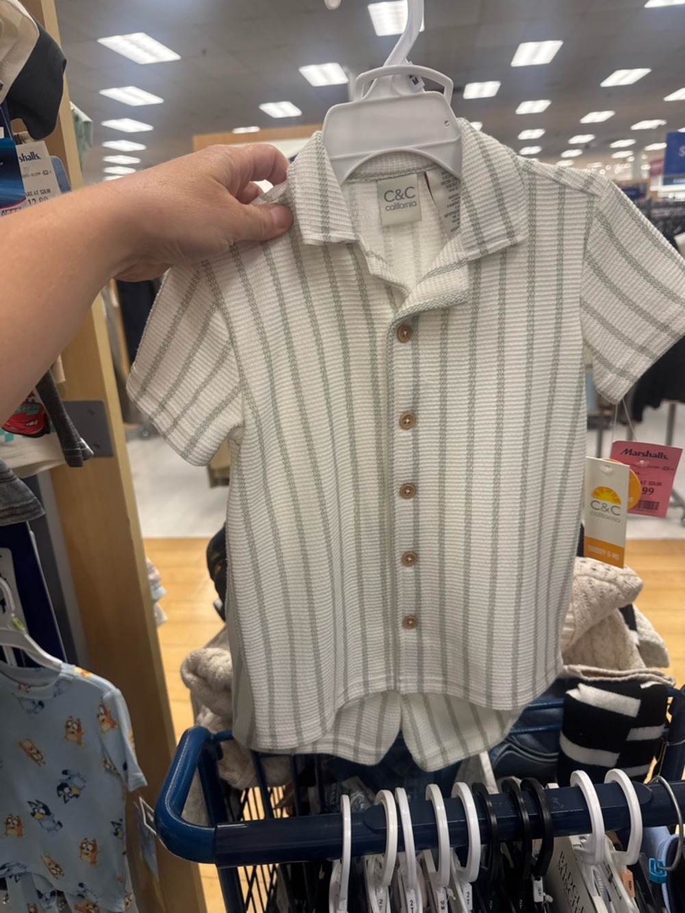 C&C California Kids Short Sleeve Button-Down Shirt in Cream & Sage